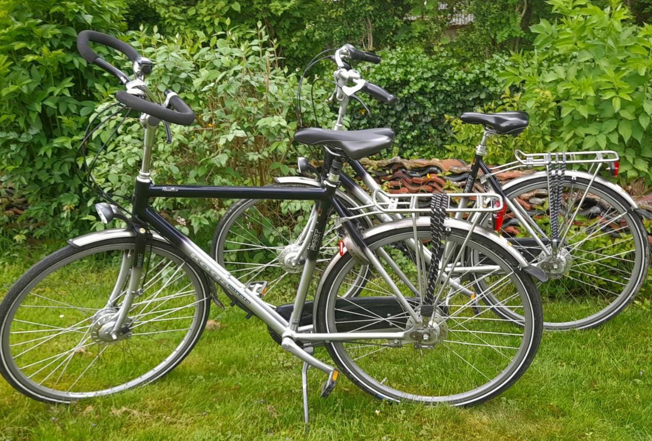Zonnig Maasbommel. *